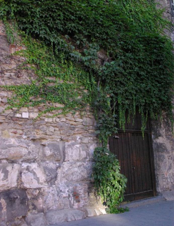 Aufhauser Hof Regensburg Exterior foto